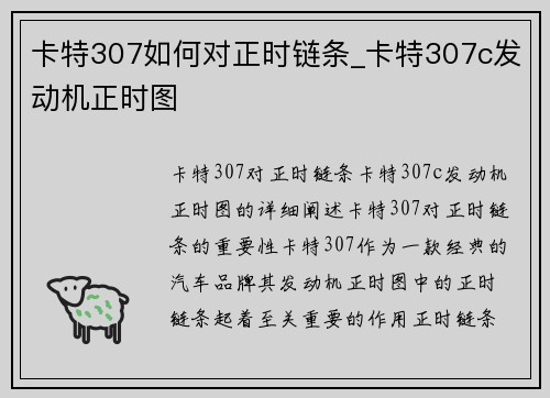 卡特307如何对正时链条_卡特307c发动机正时图